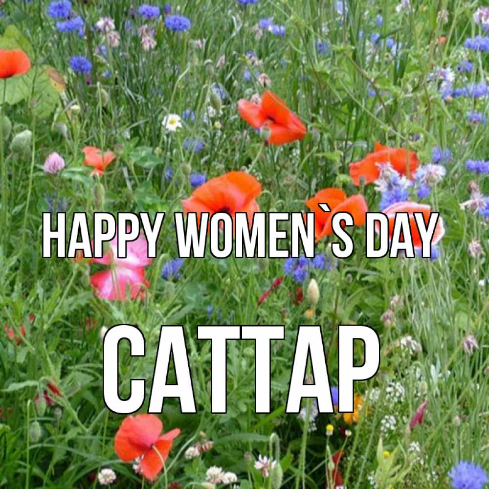 Greetings card с именем, САТТАР happy women`s day международный женский день 4 Greetings with text for free download 